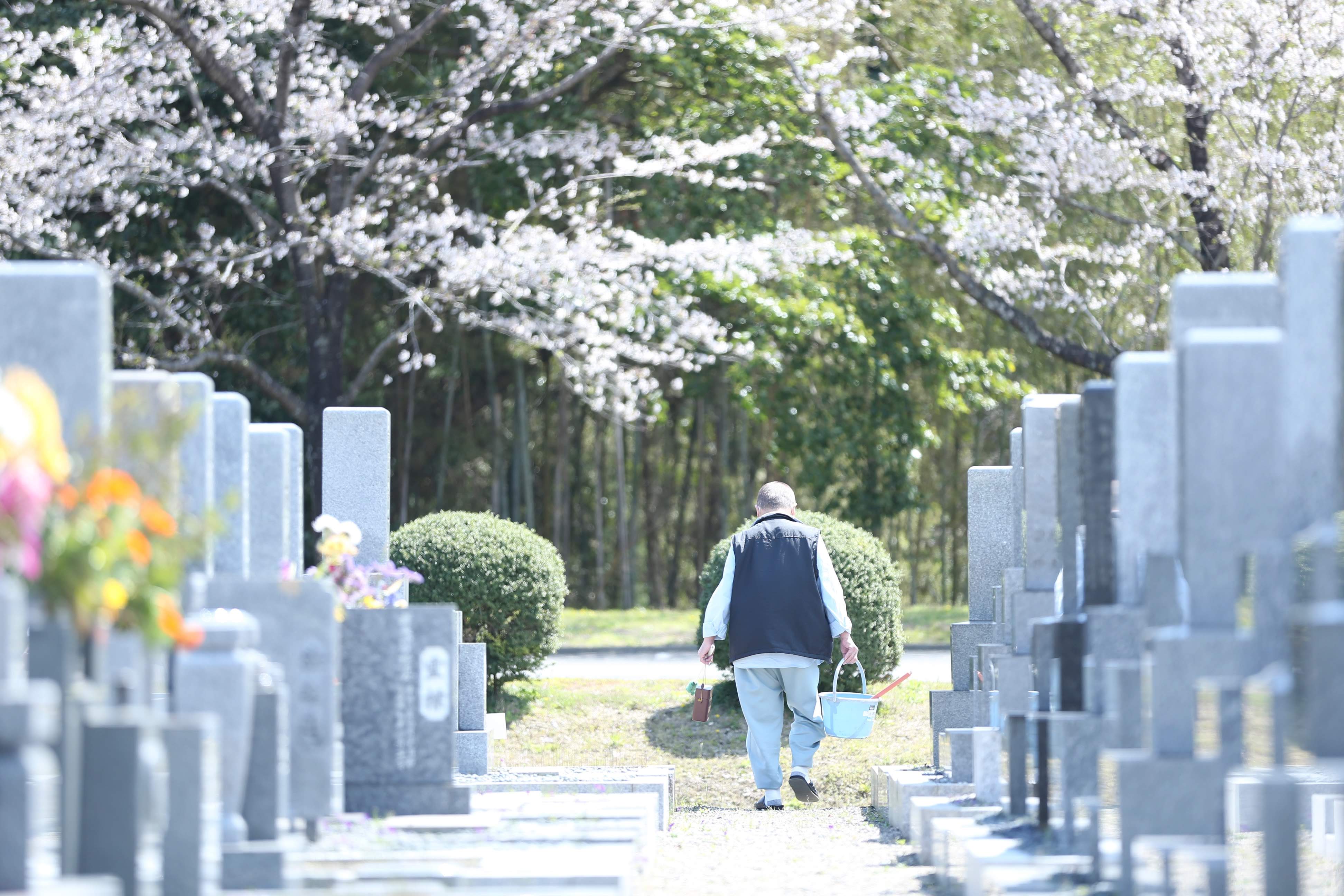 フォトギャラリー