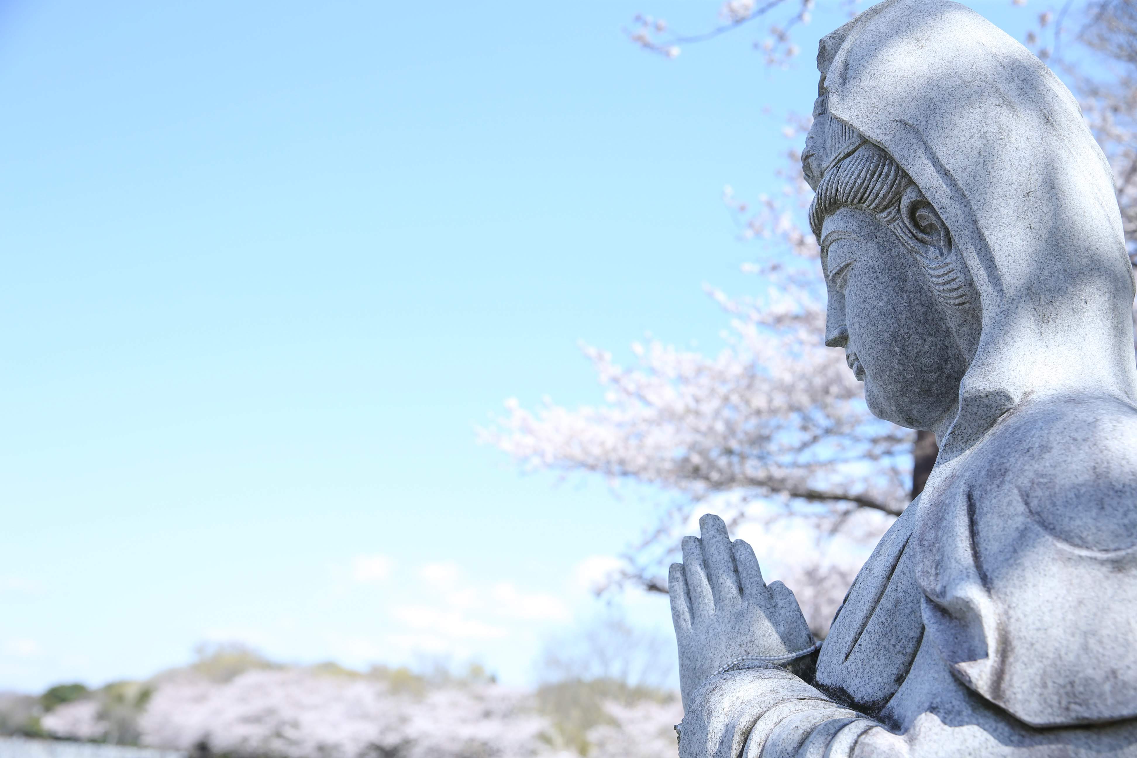 フォトギャラリー