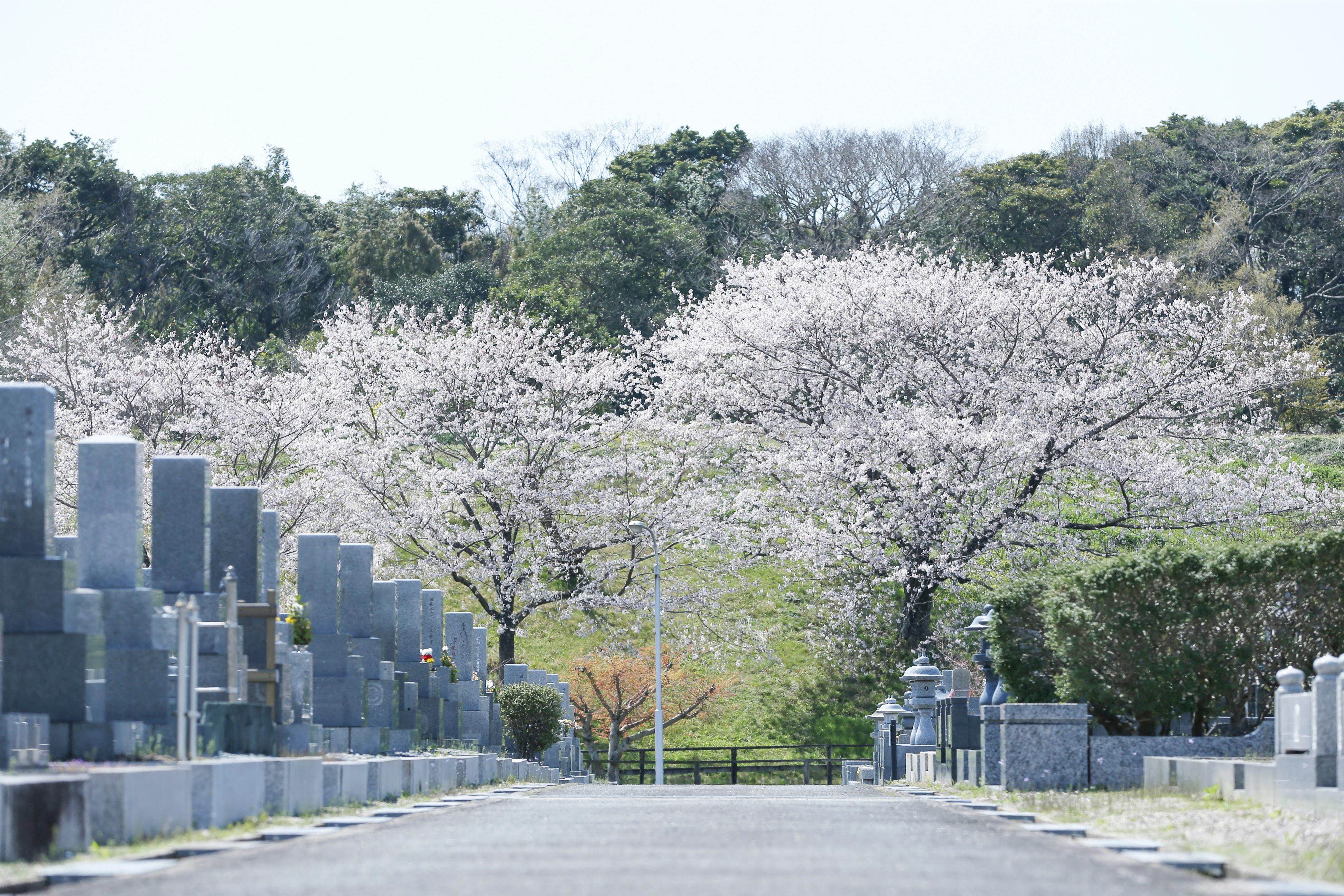 フォトギャラリー