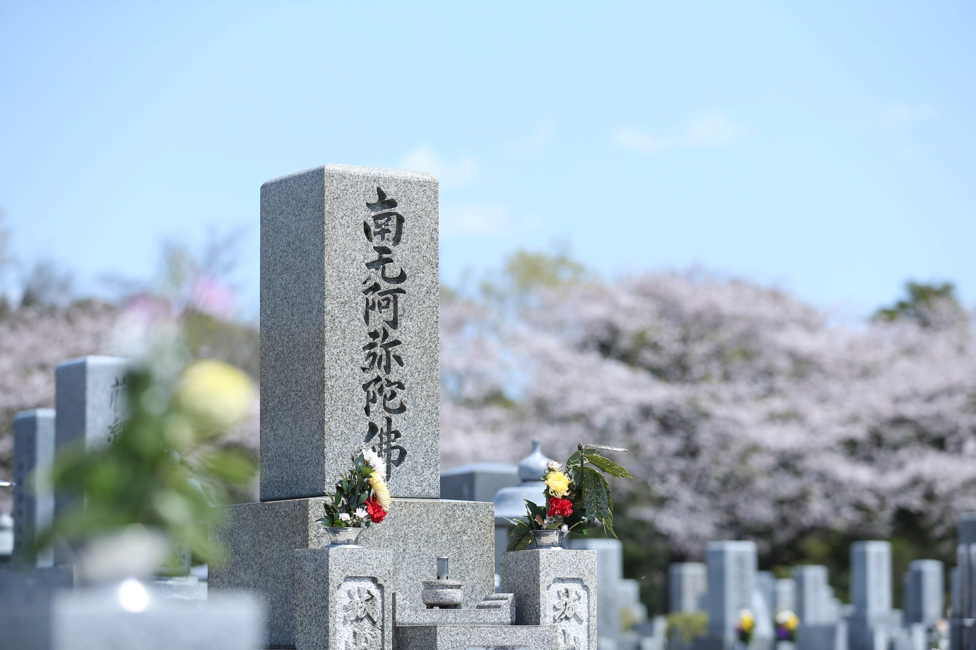 フォトギャラリー