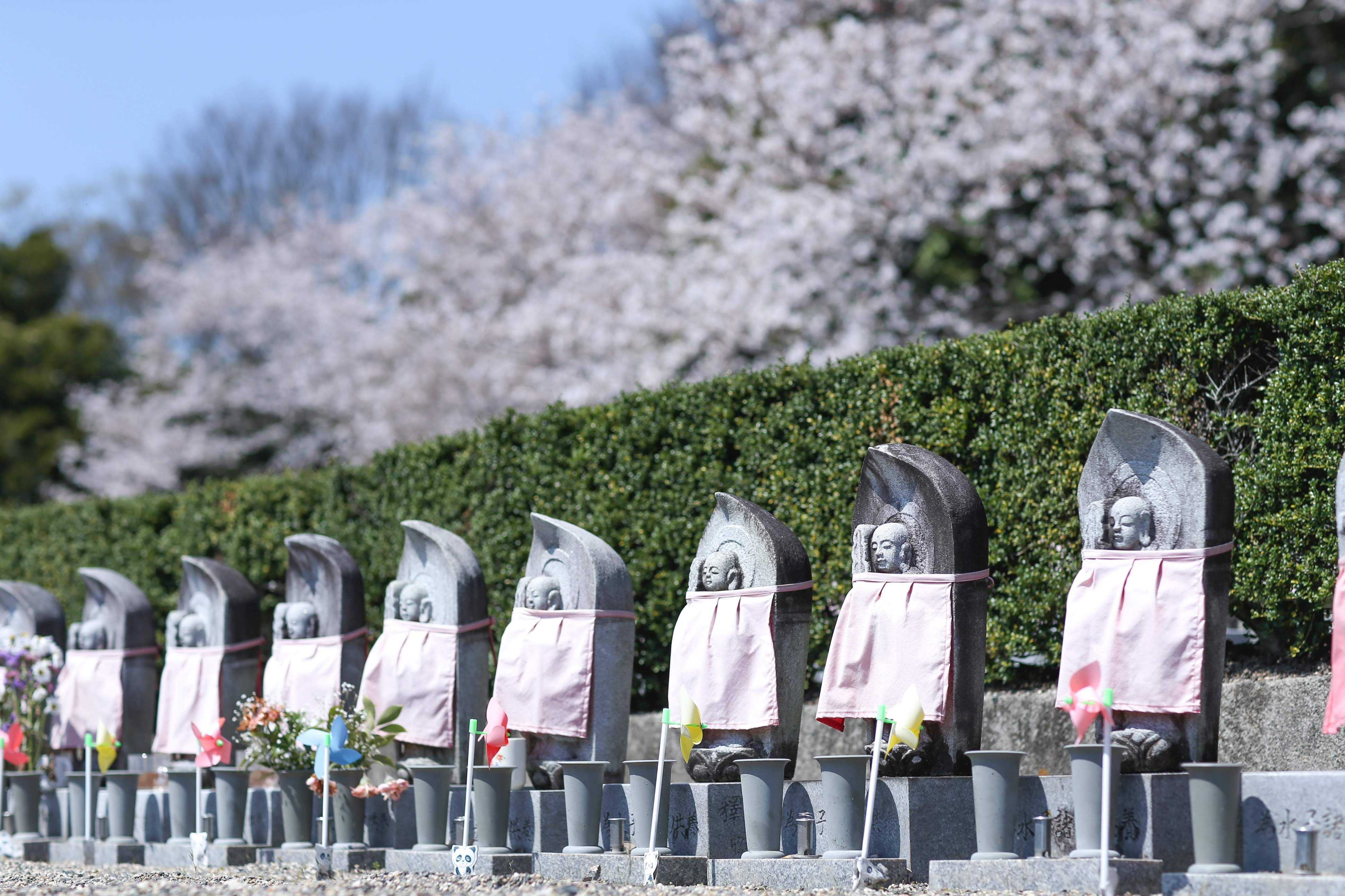 フォトギャラリー