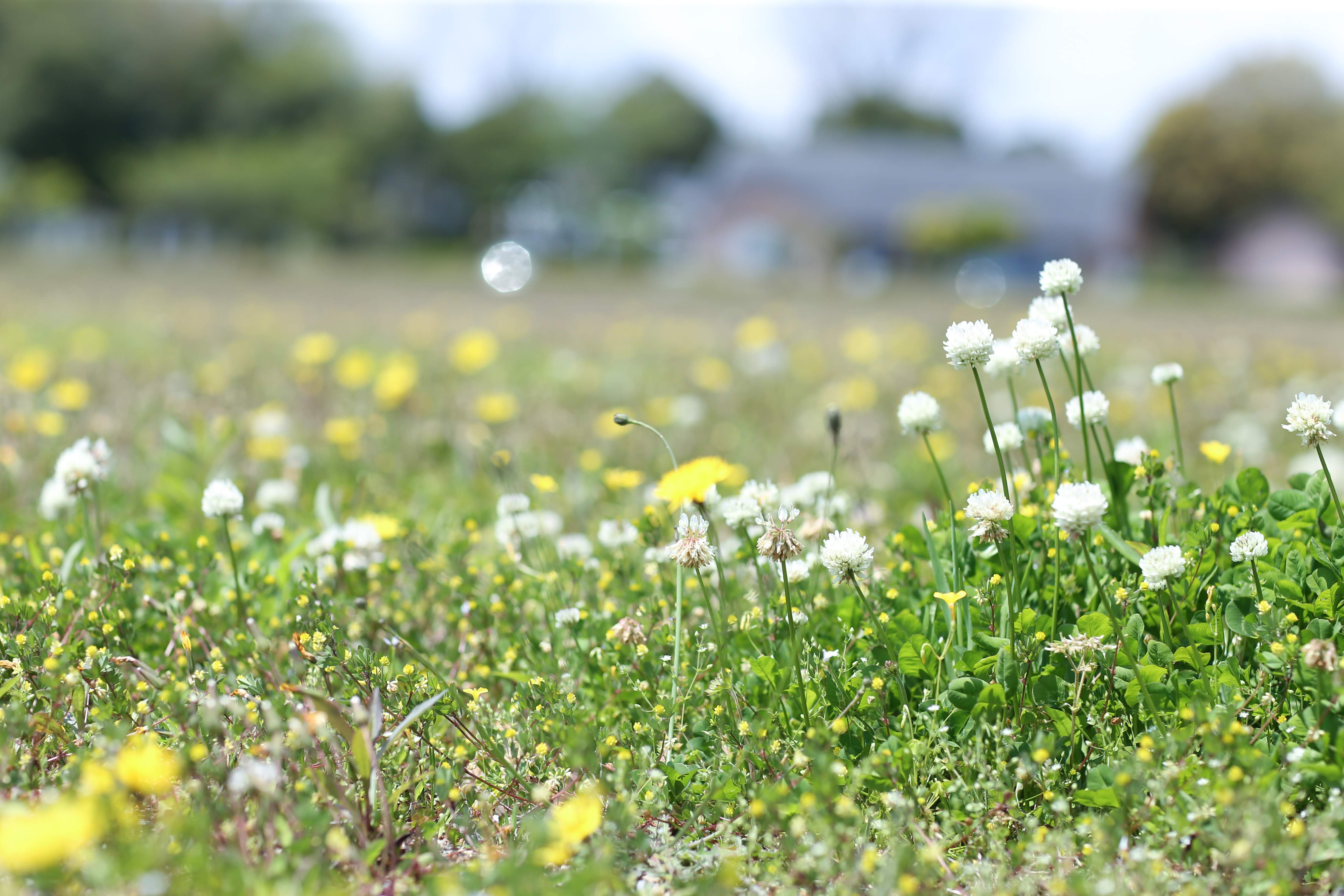 フォトギャラリー