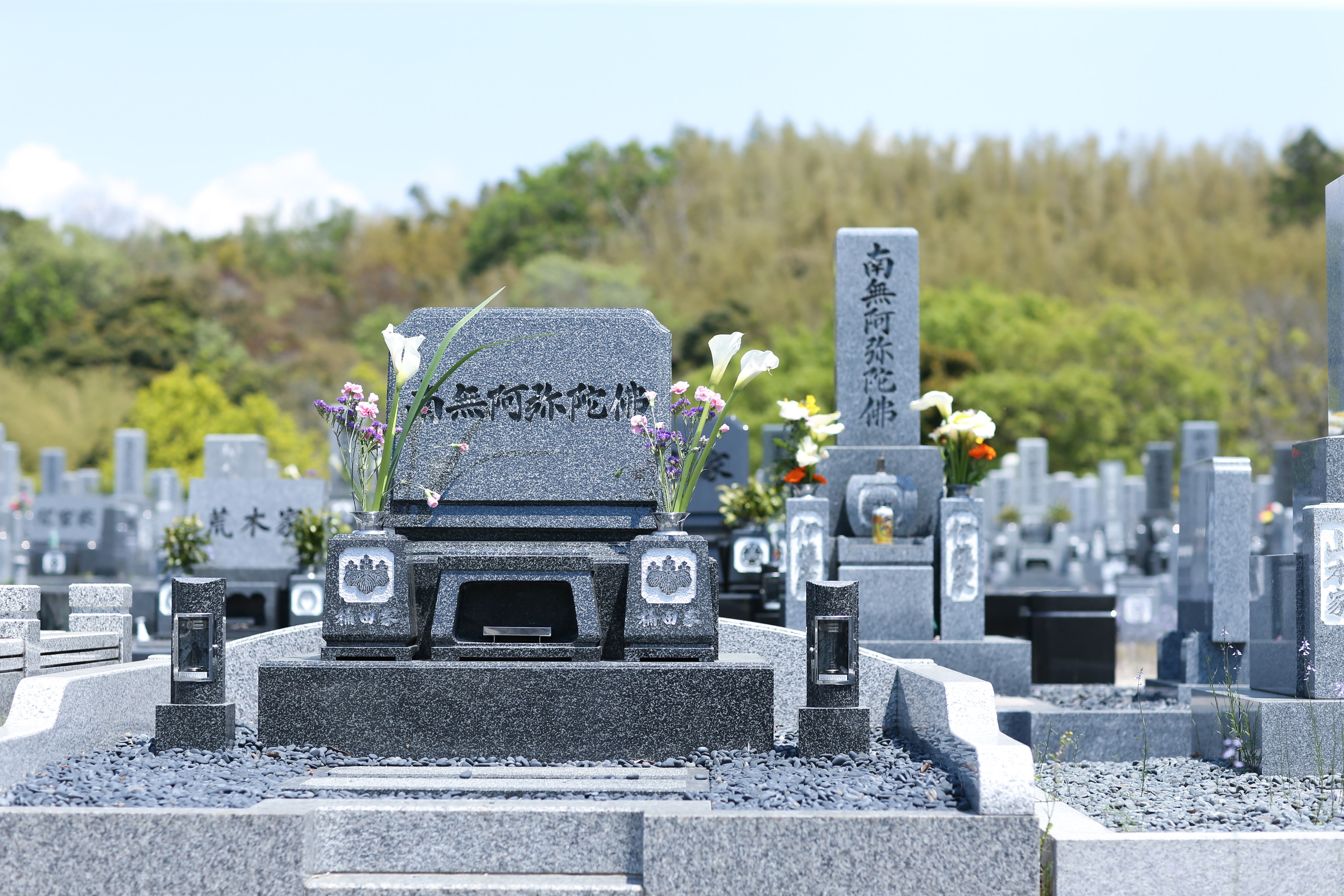 フォトギャラリー