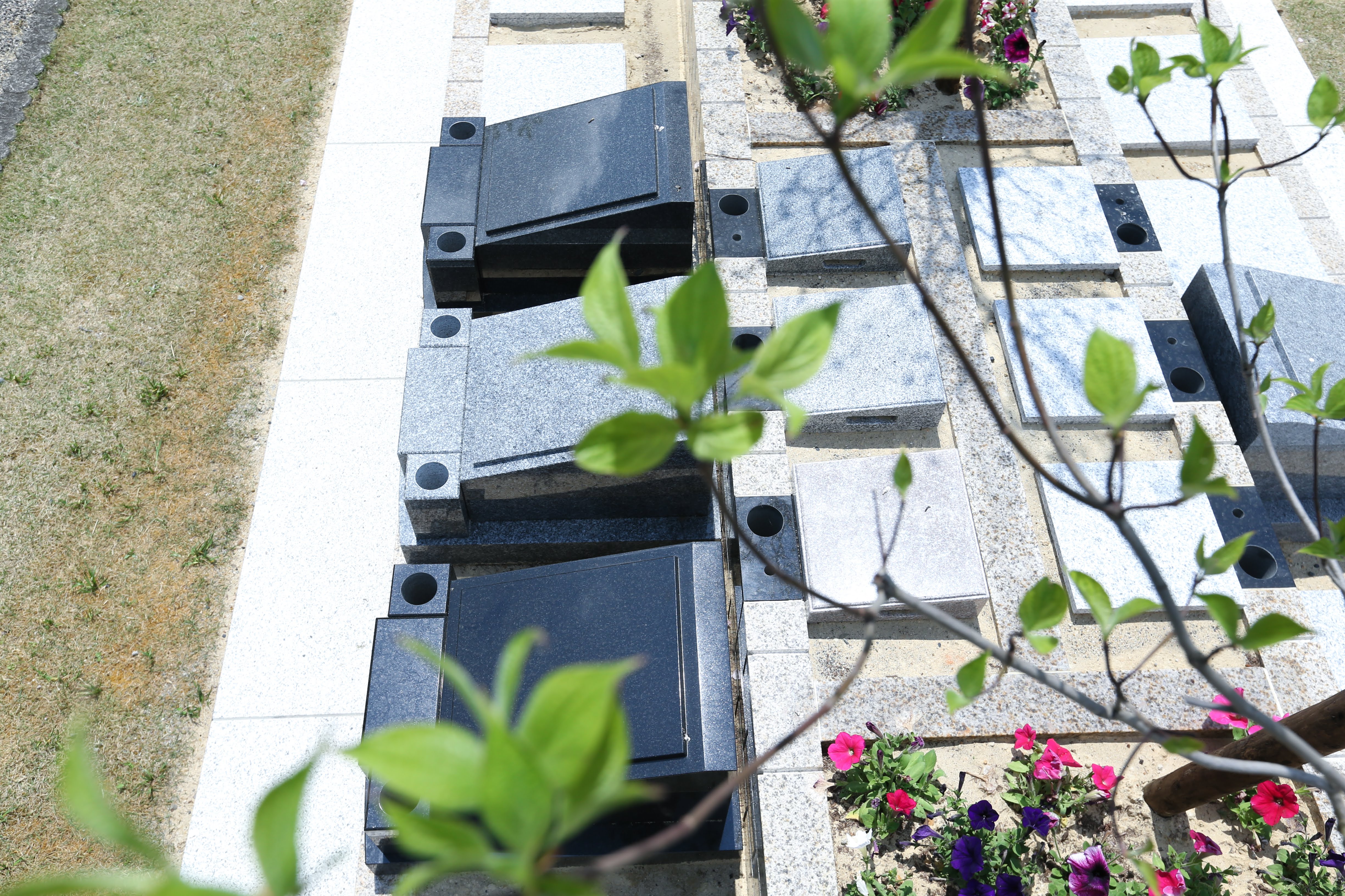 フォトギャラリー