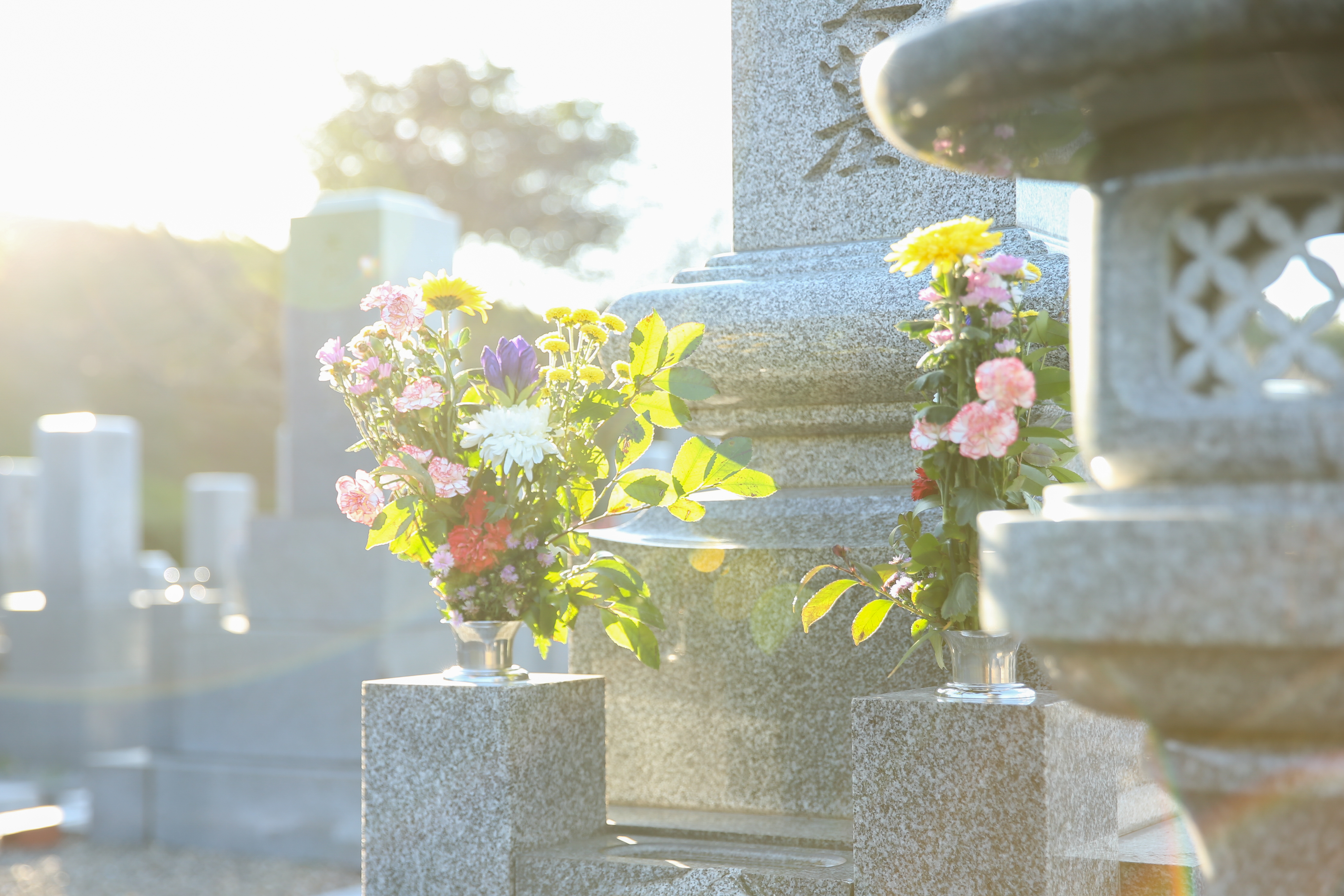 フォトギャラリー