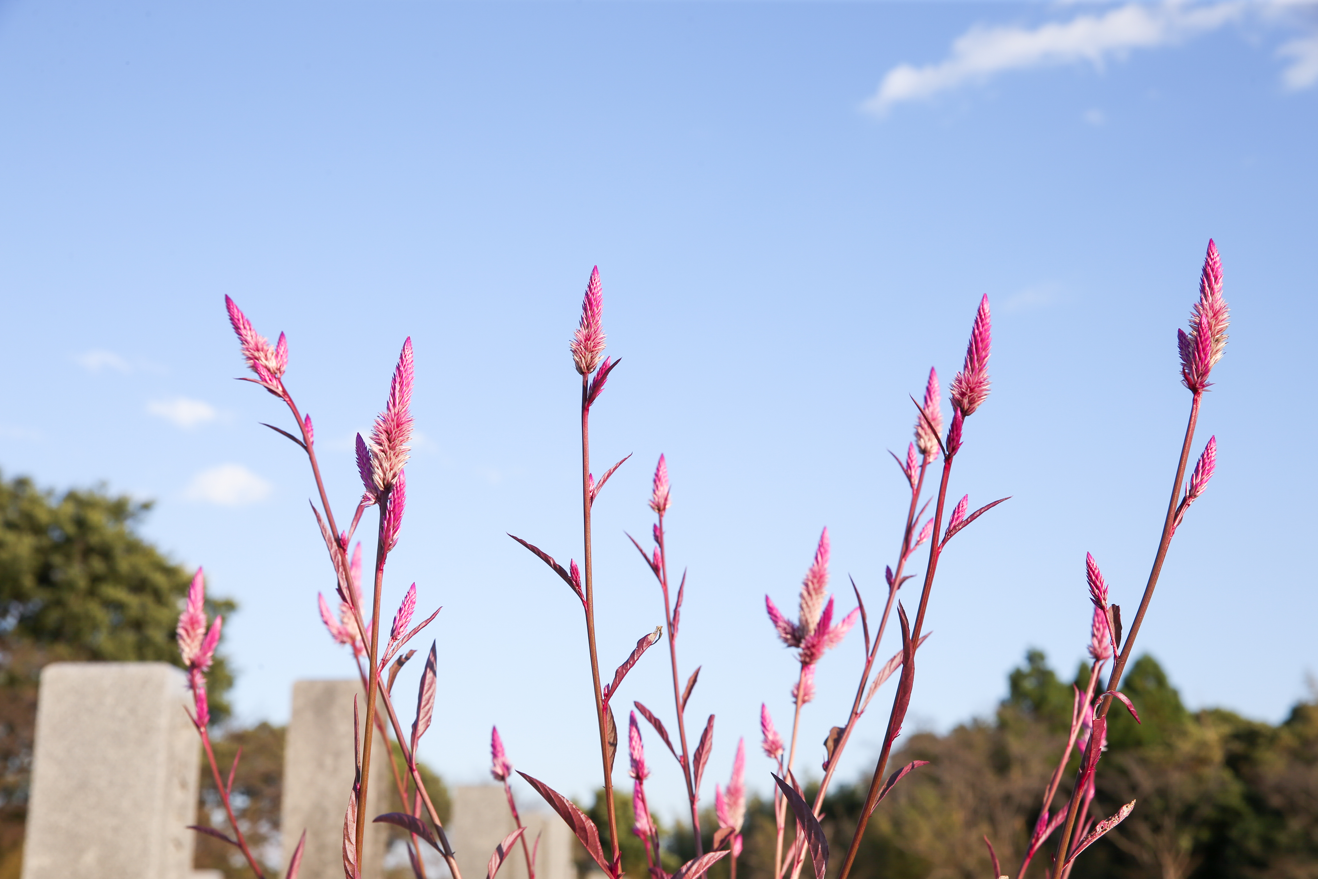 フォトギャラリー