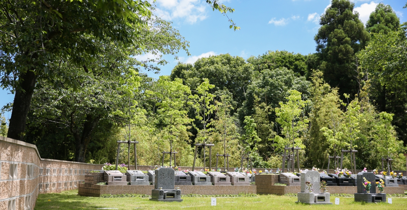 フォトギャラリー