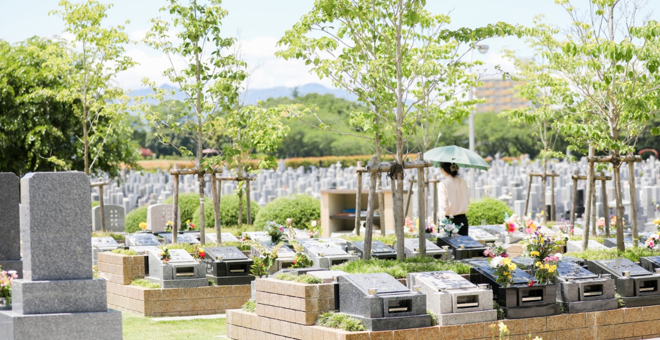 フォトギャラリー