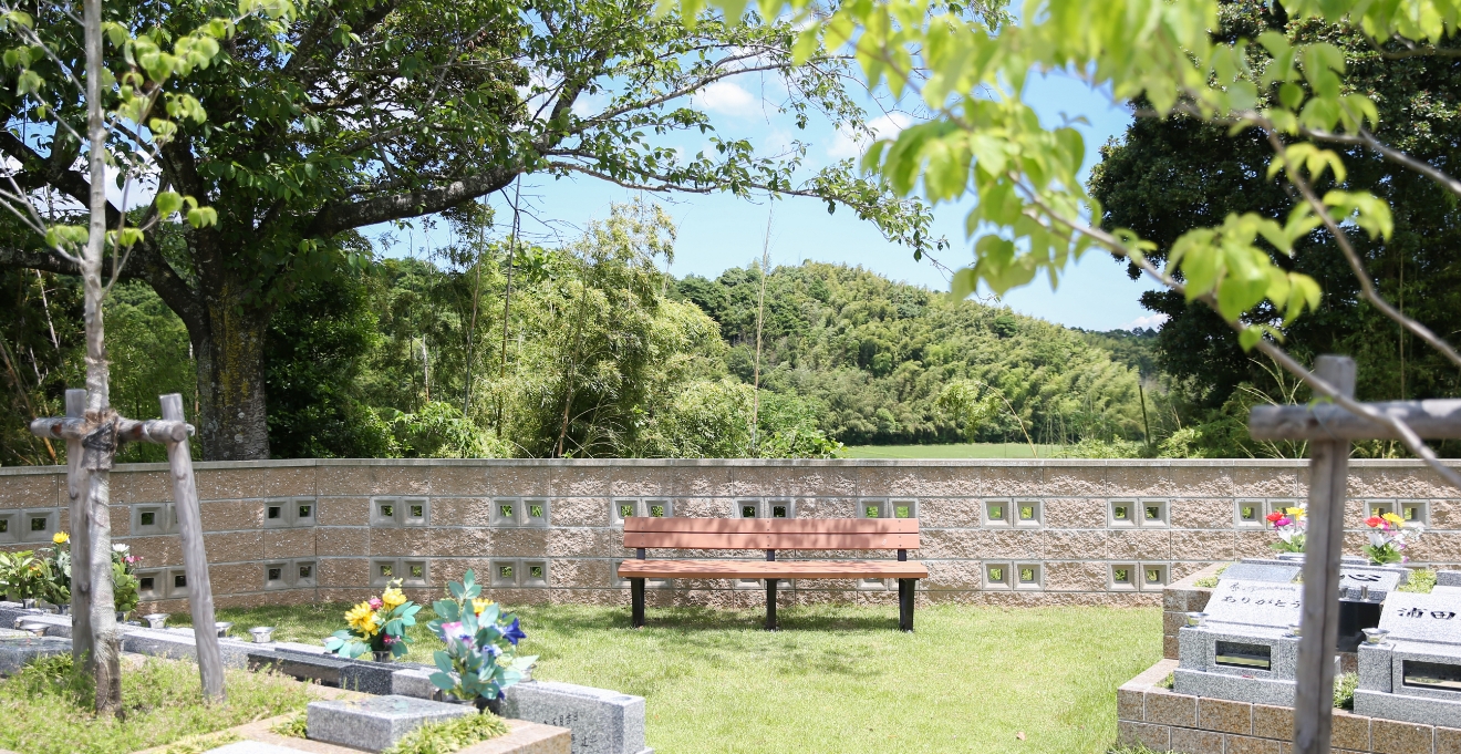 フォトギャラリー