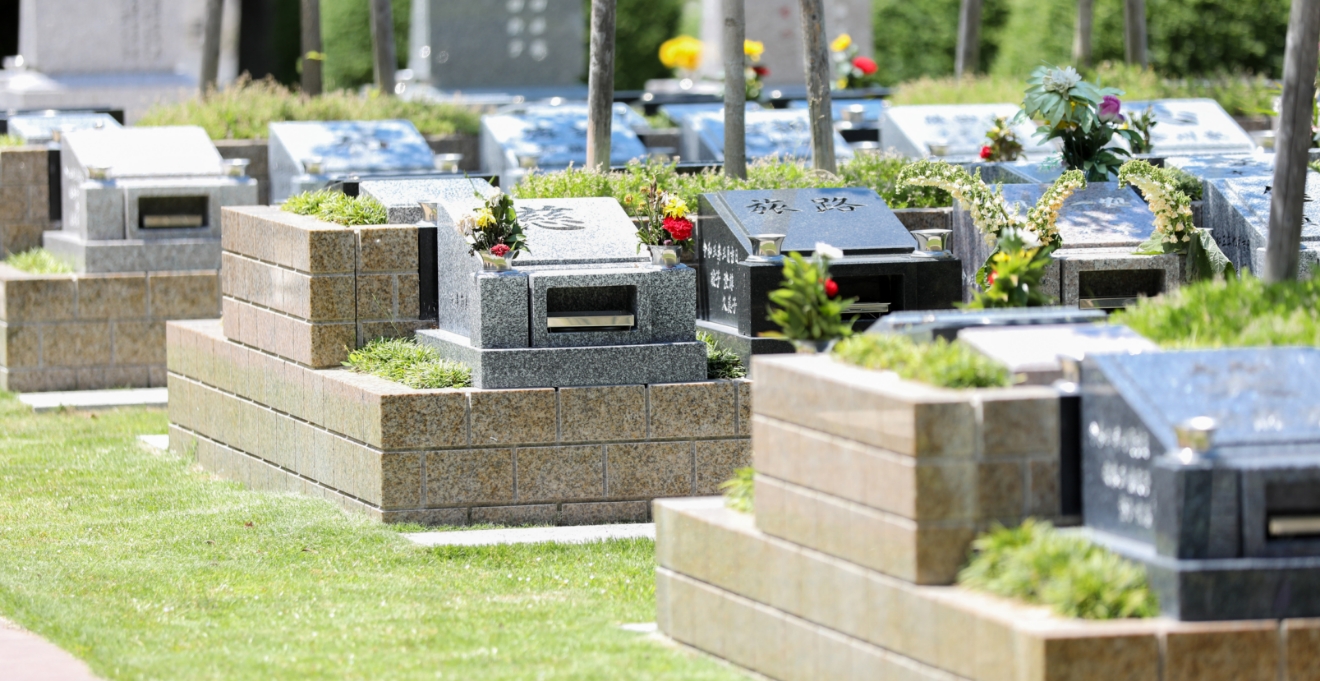 フォトギャラリー