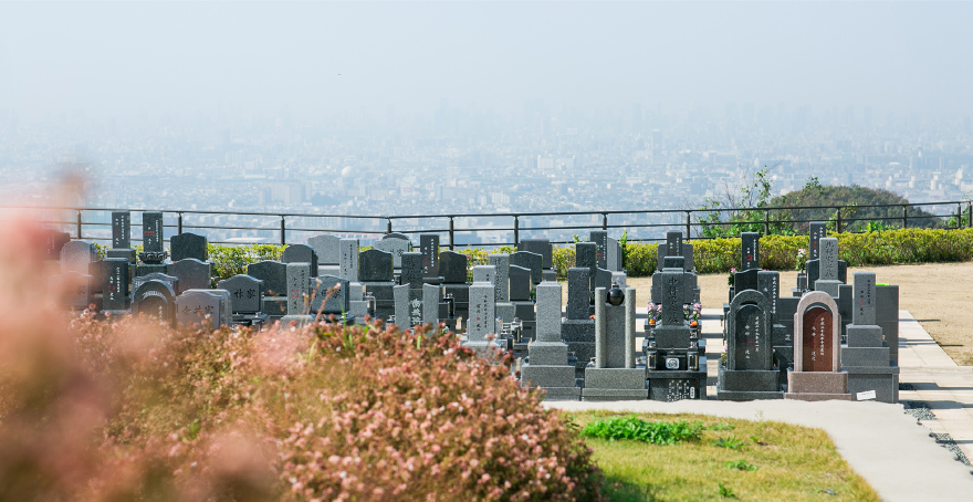 フォトギャラリー