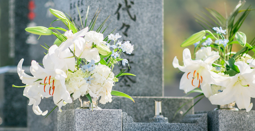 フォトギャラリー