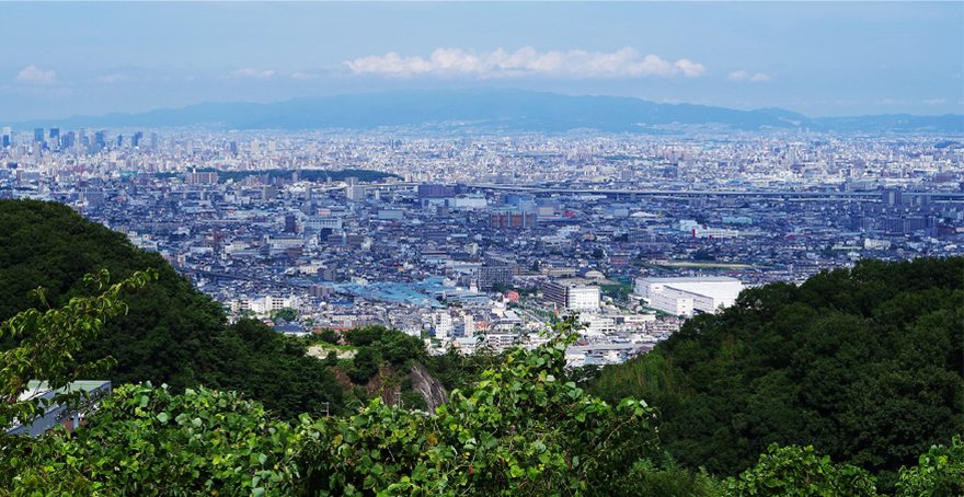 フォトギャラリー