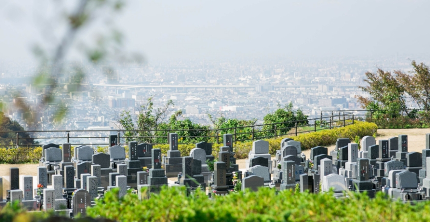 フォトギャラリー