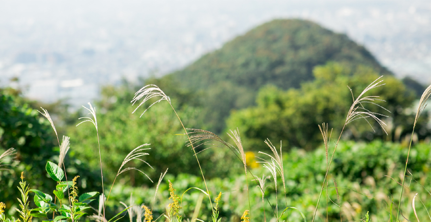 フォトギャラリー