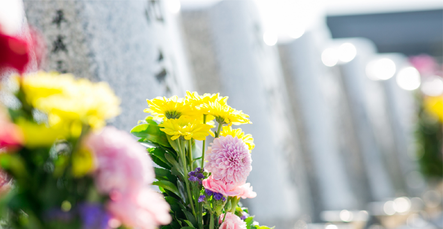 フォトギャラリー