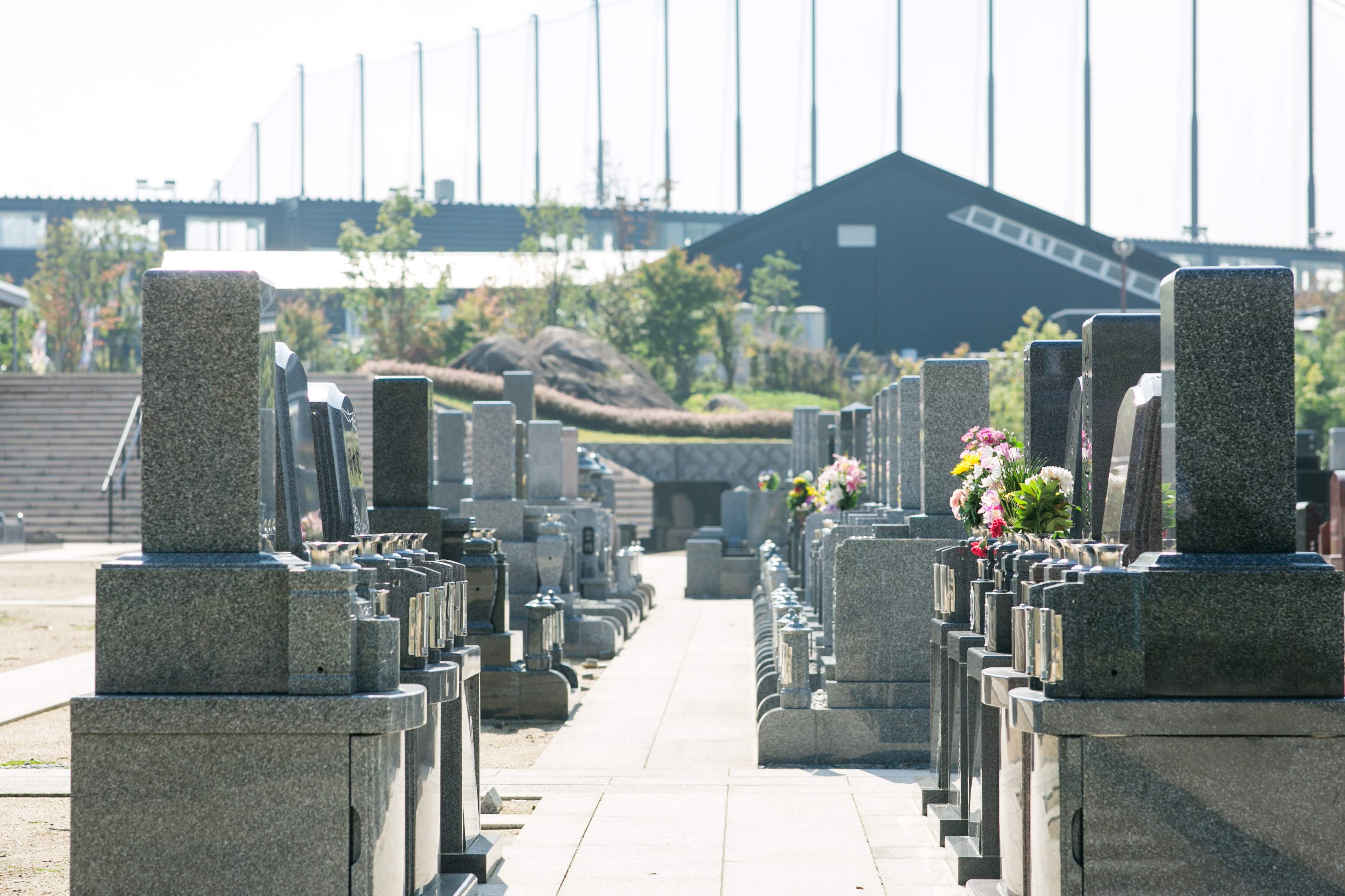 フォトギャラリー