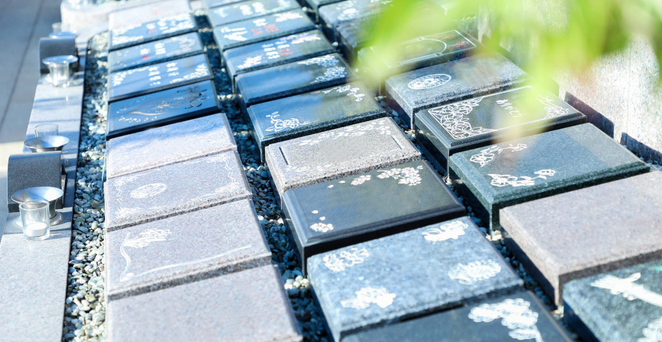 フォトギャラリー