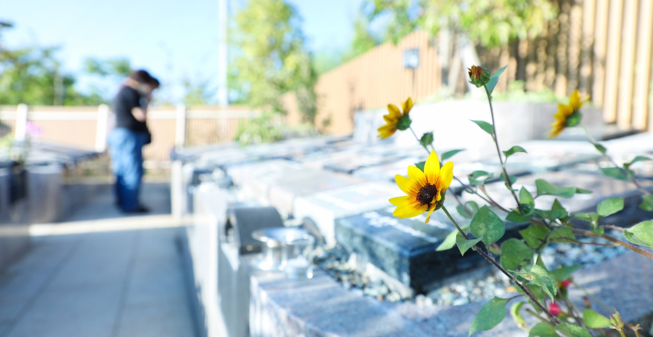 フォトギャラリー