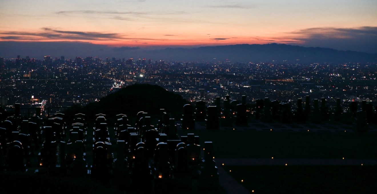 フォトギャラリー