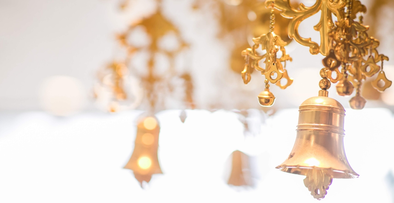 フォトギャラリー