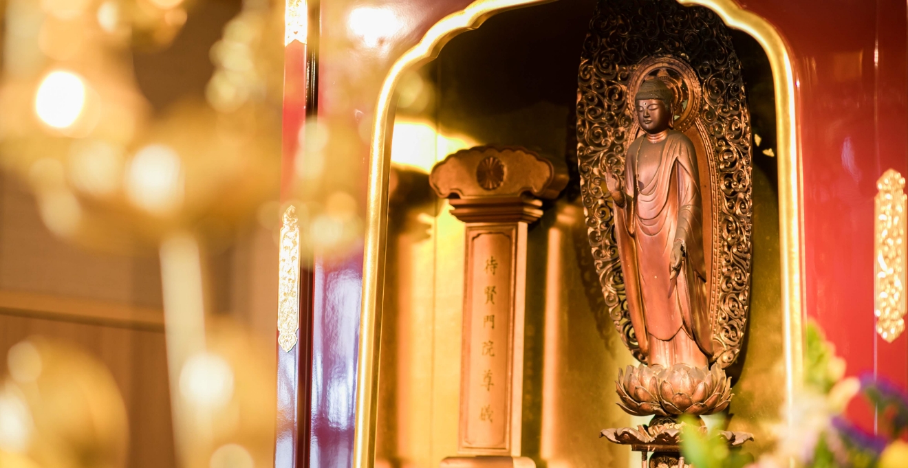 フォトギャラリー