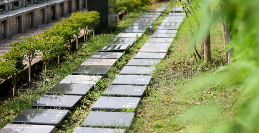 フォトギャラリー