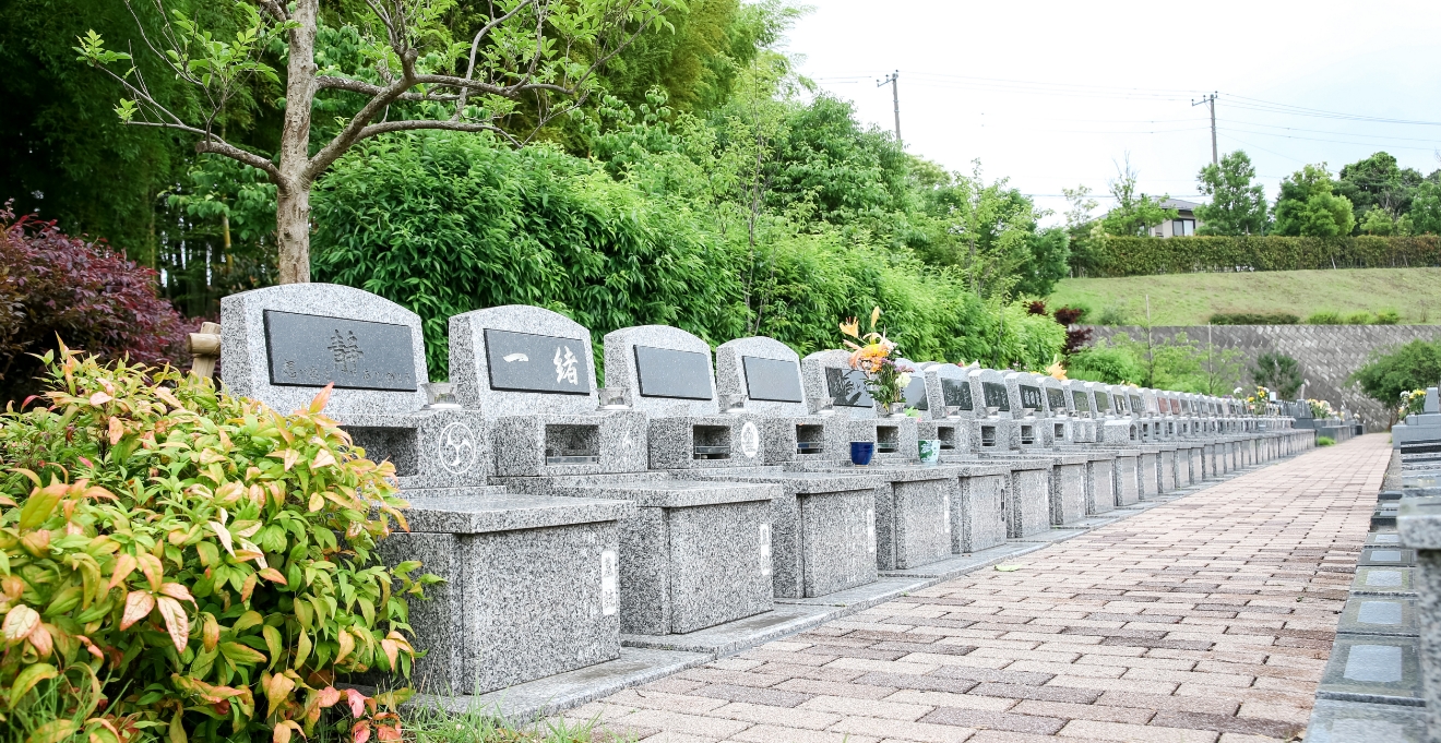 フォトギャラリー