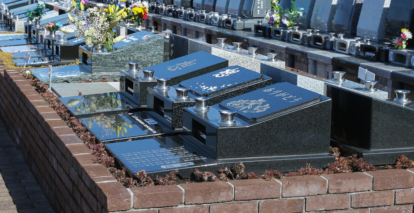 フォトギャラリー