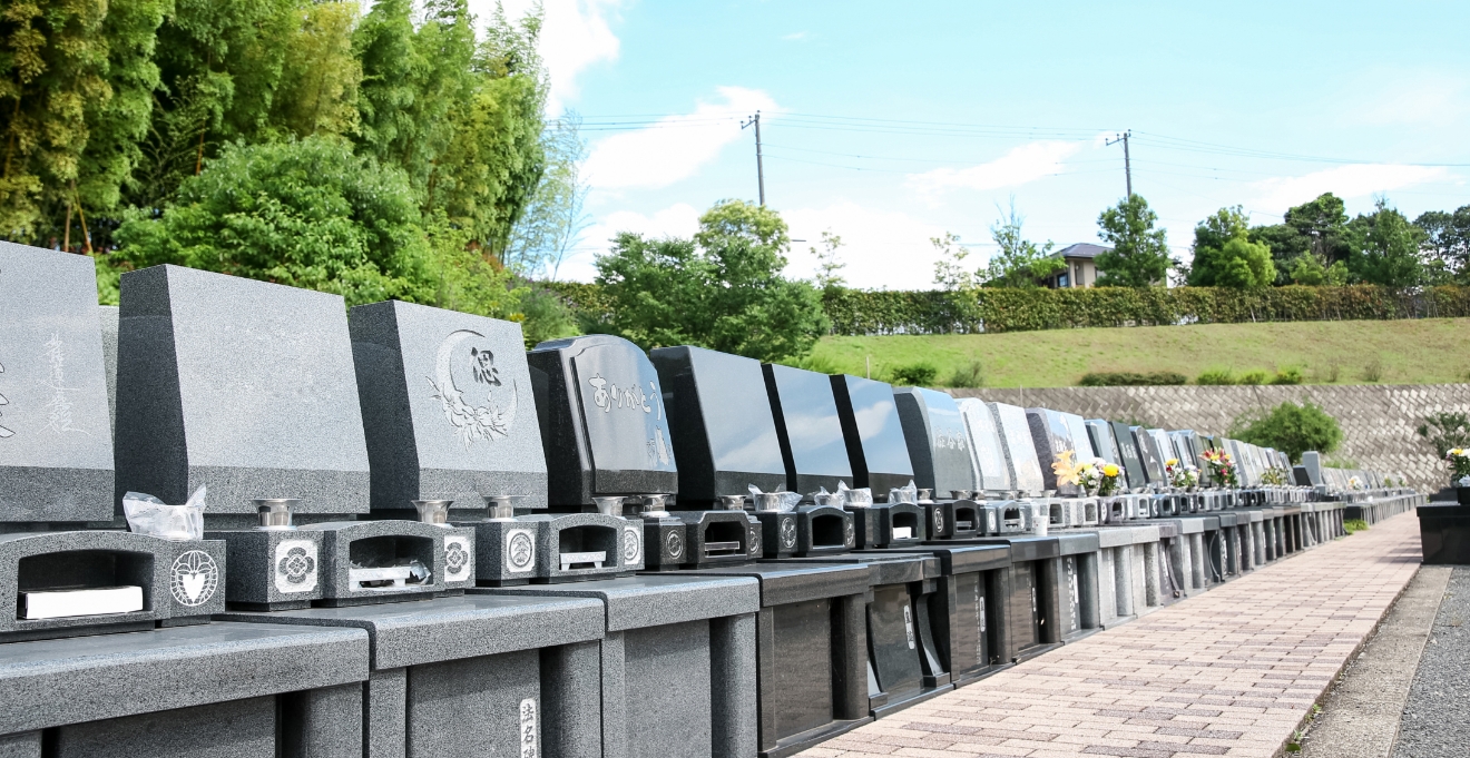 フォトギャラリー