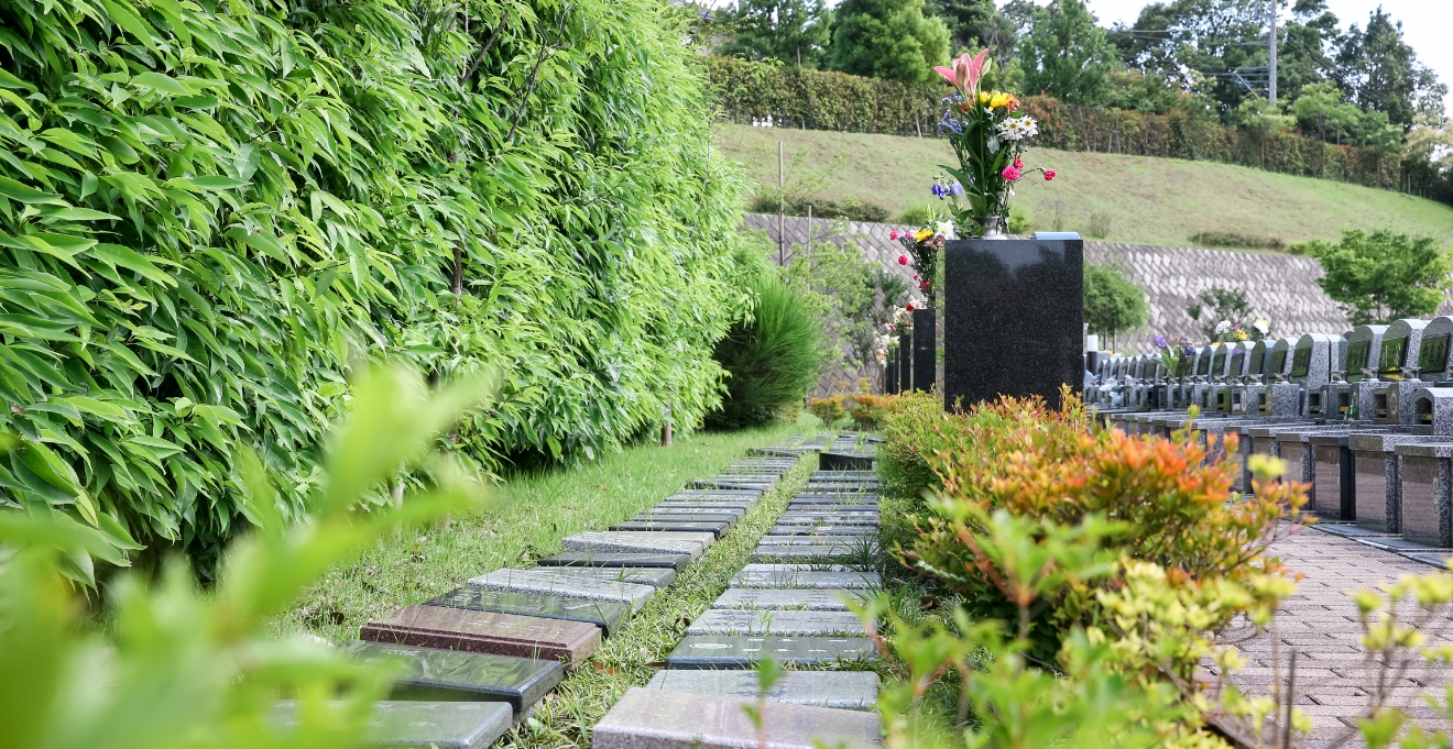 フォトギャラリー