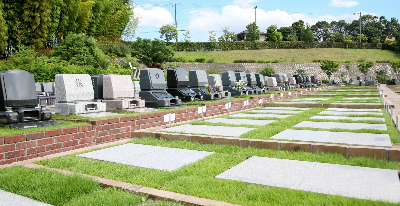 フォトギャラリー