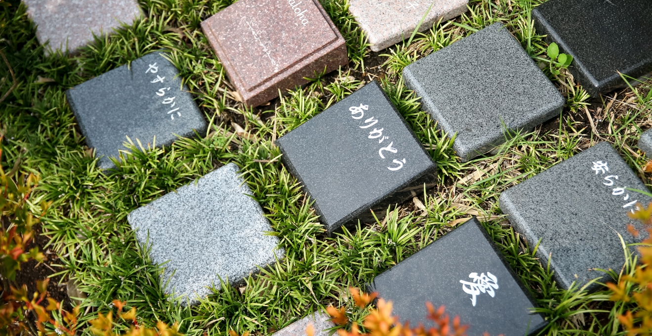 フォトギャラリー