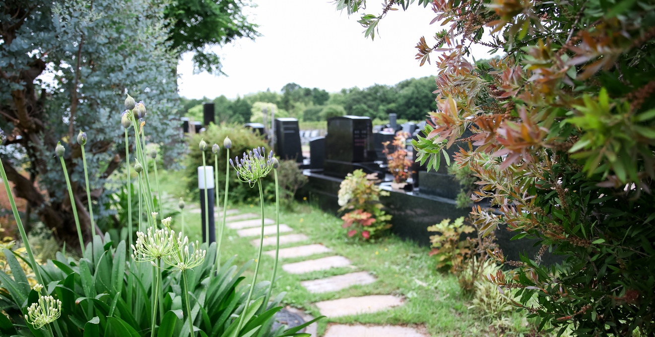 フォトギャラリー