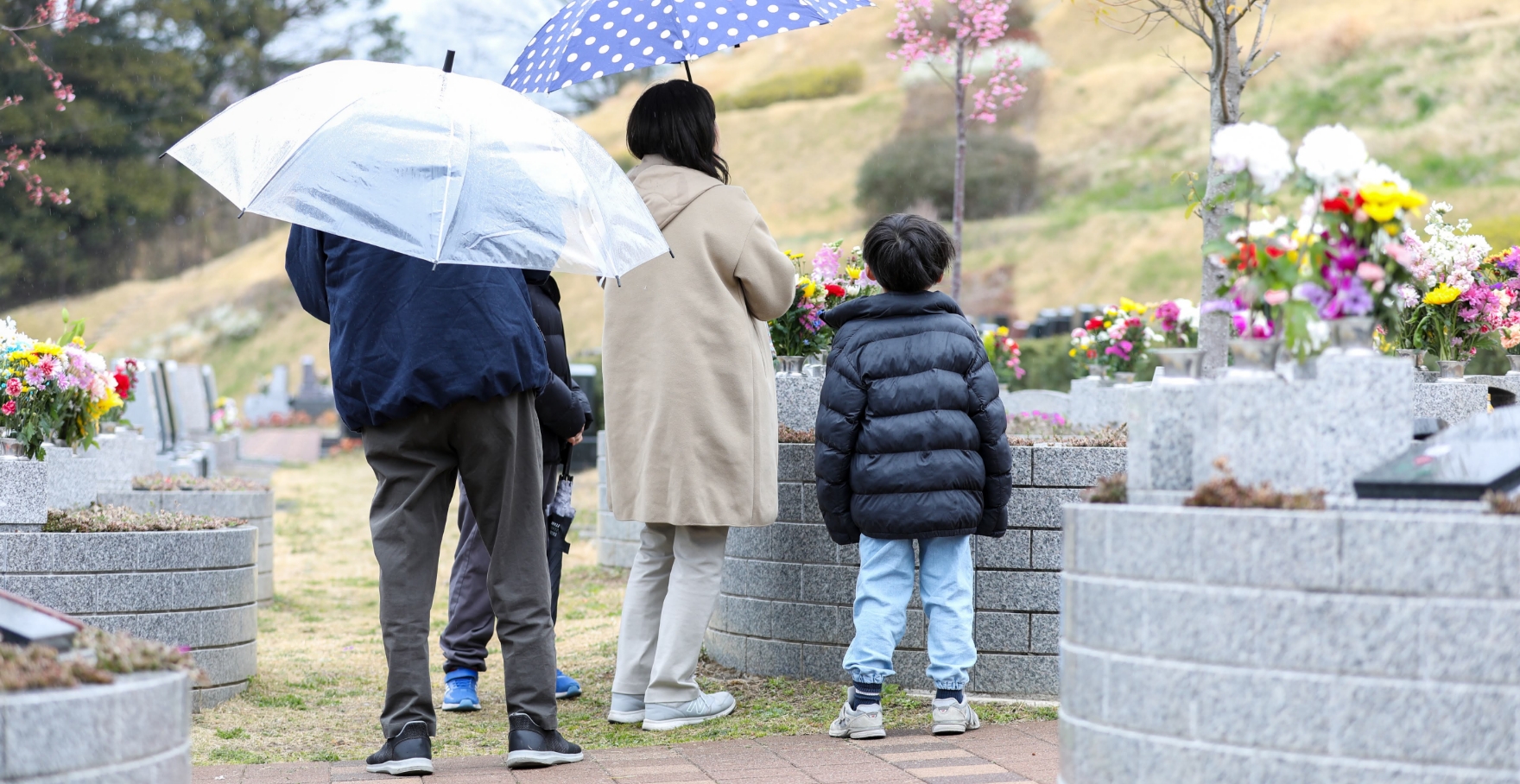 フォトギャラリー