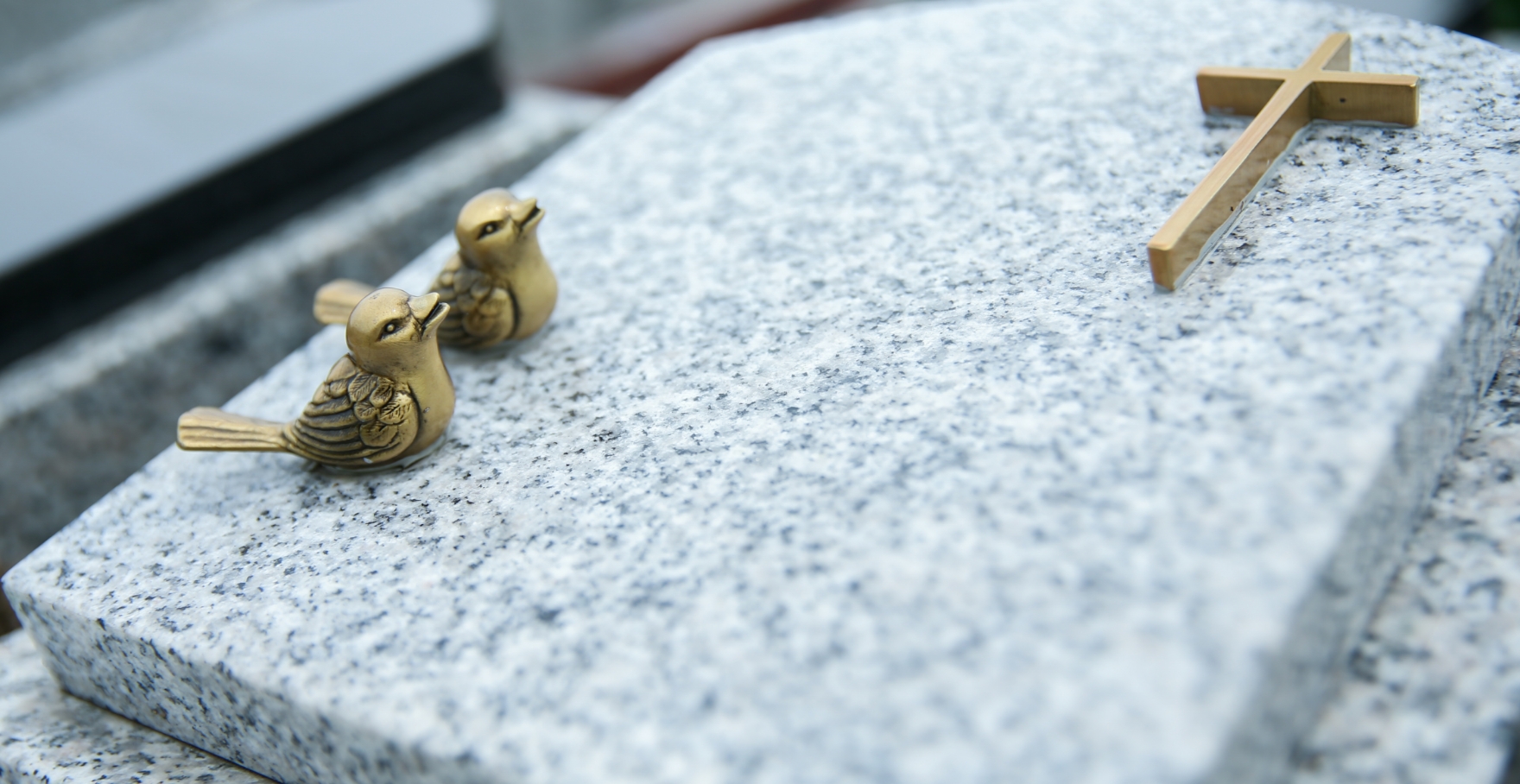 フォトギャラリー