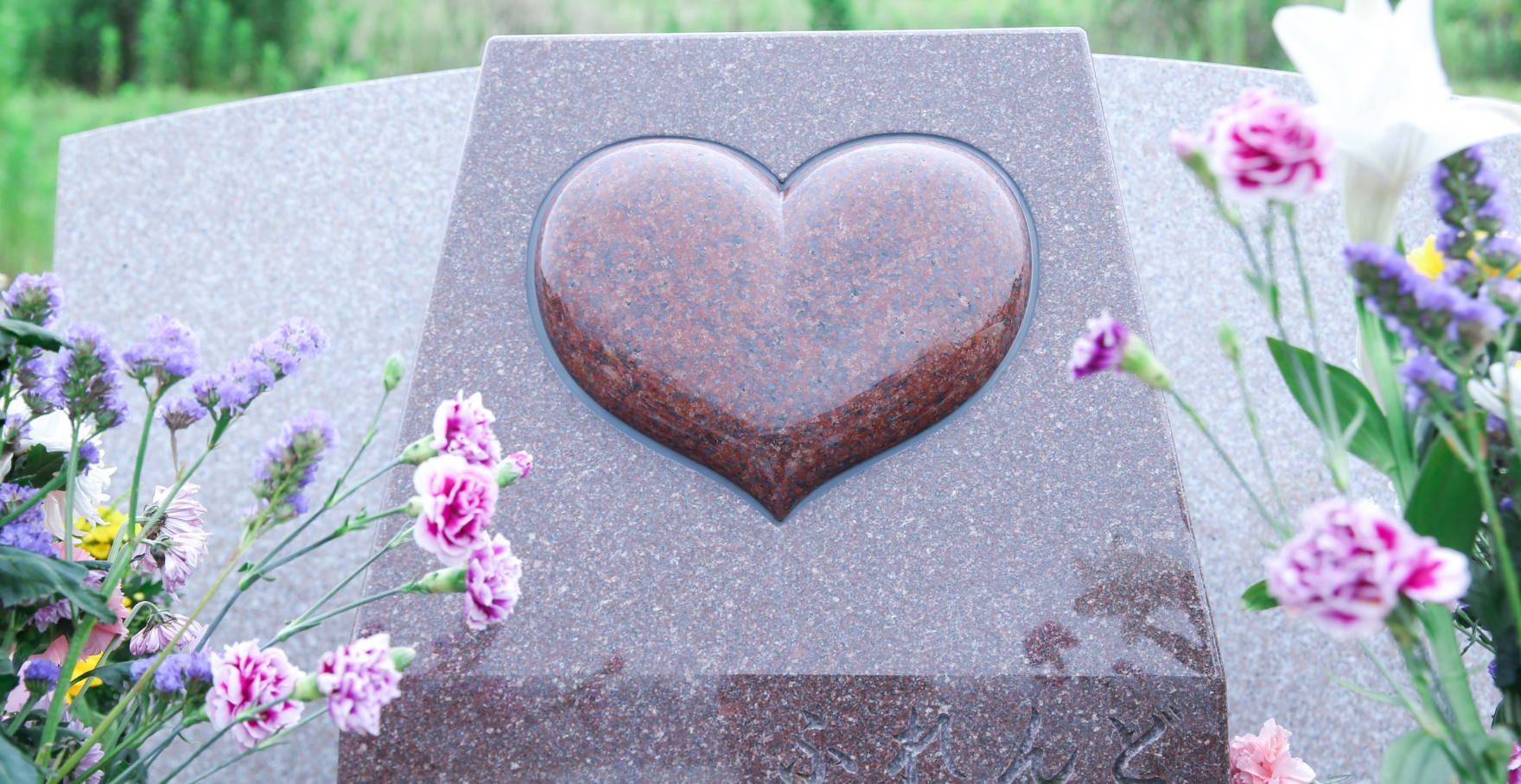 フォトギャラリー