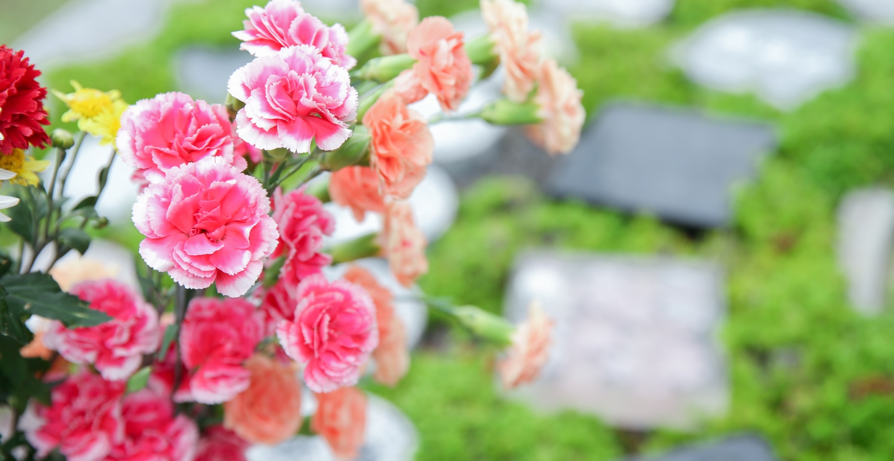 フォトギャラリー