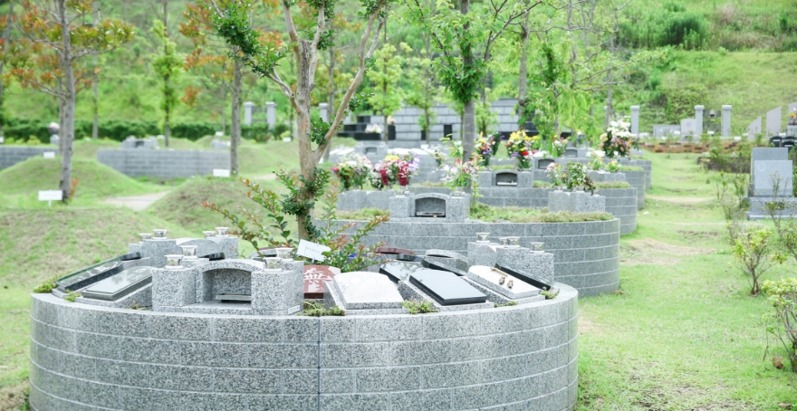 フォトギャラリー