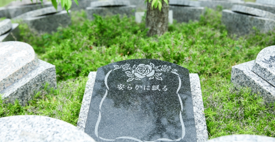 フォトギャラリー