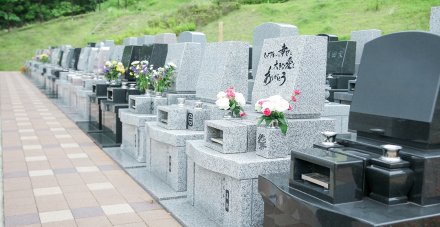 フォトギャラリー