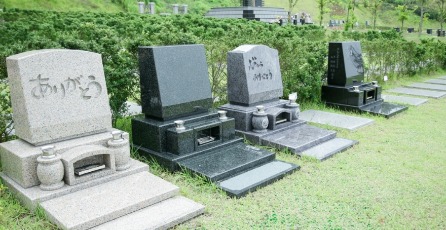 フォトギャラリー