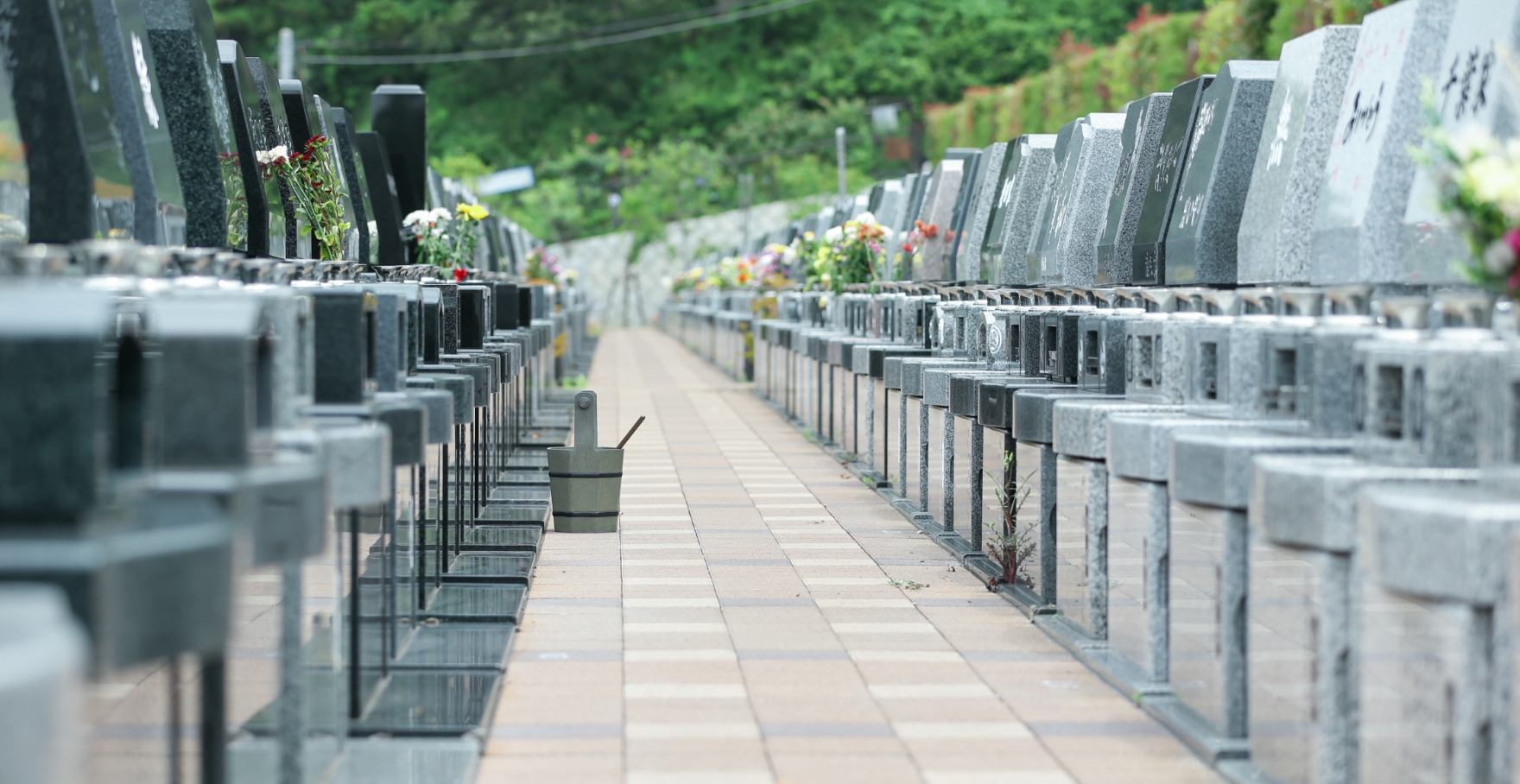 フォトギャラリー