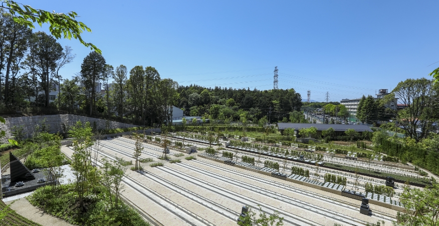 フォトギャラリー