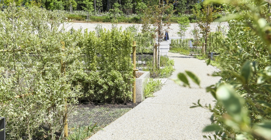 フォトギャラリー