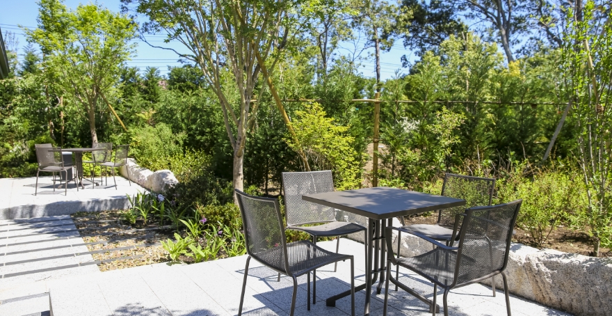 フォトギャラリー