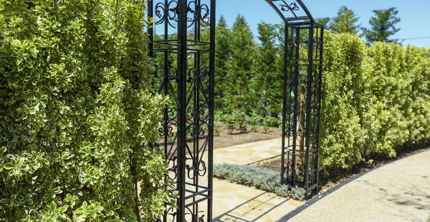 フォトギャラリー