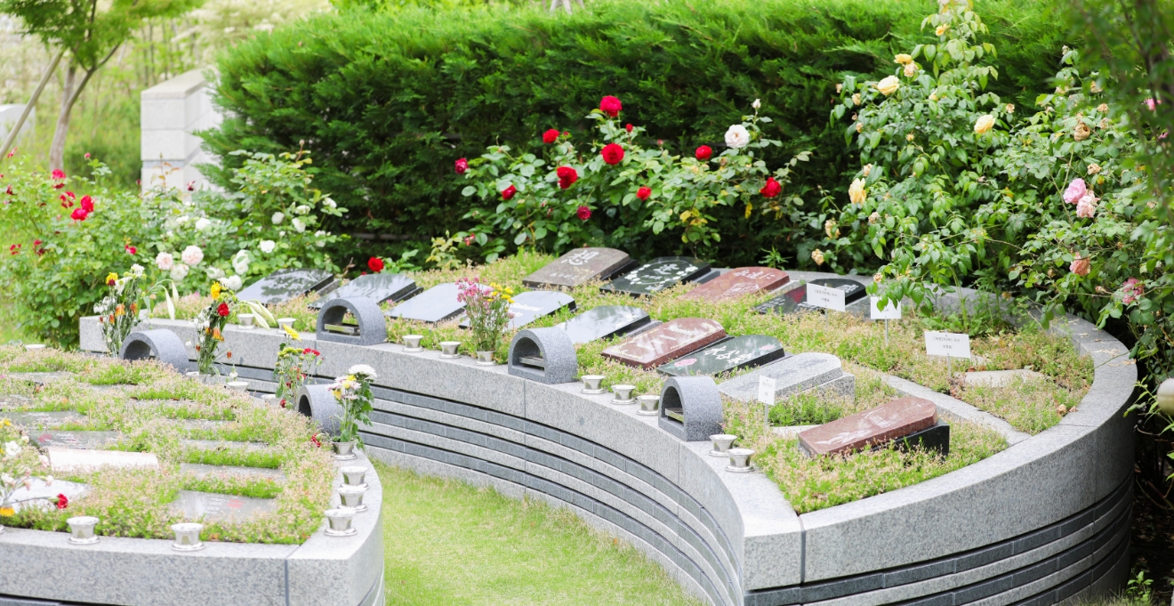 フォトギャラリー