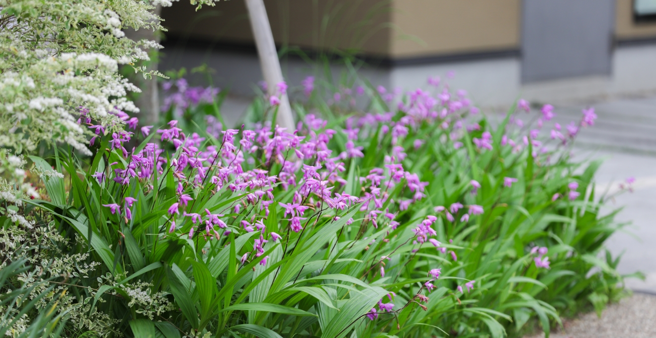 フォトギャラリー