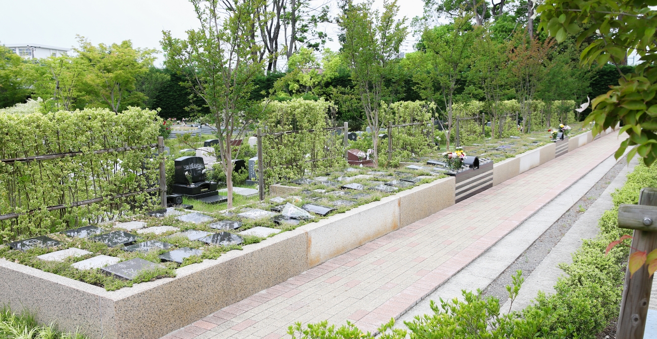 フォトギャラリー